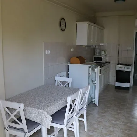 Erkel Panorama Apartman *