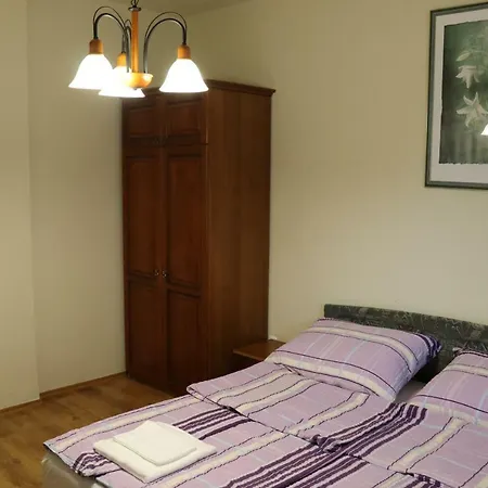 Erkel Panorama Apartman *