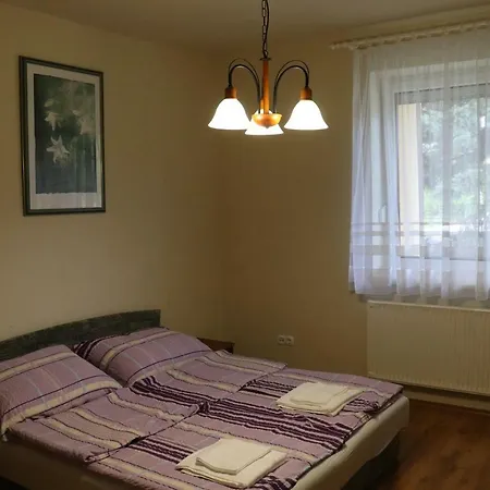 Erkel Panorama Apartman *