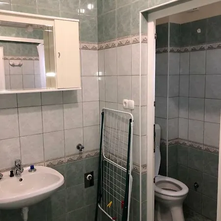 Erkel Panorama Apartman *