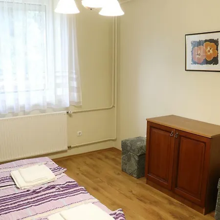 Erkel Panorama Apartman 公寓 *
